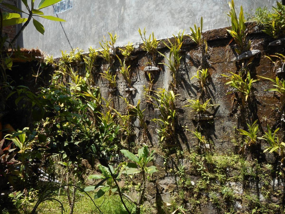 Milla Homestay Sidemen  Extérieur photo