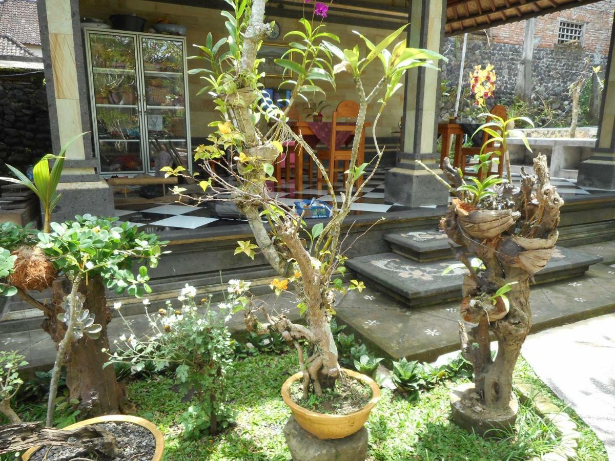 Milla Homestay Sidemen  Extérieur photo