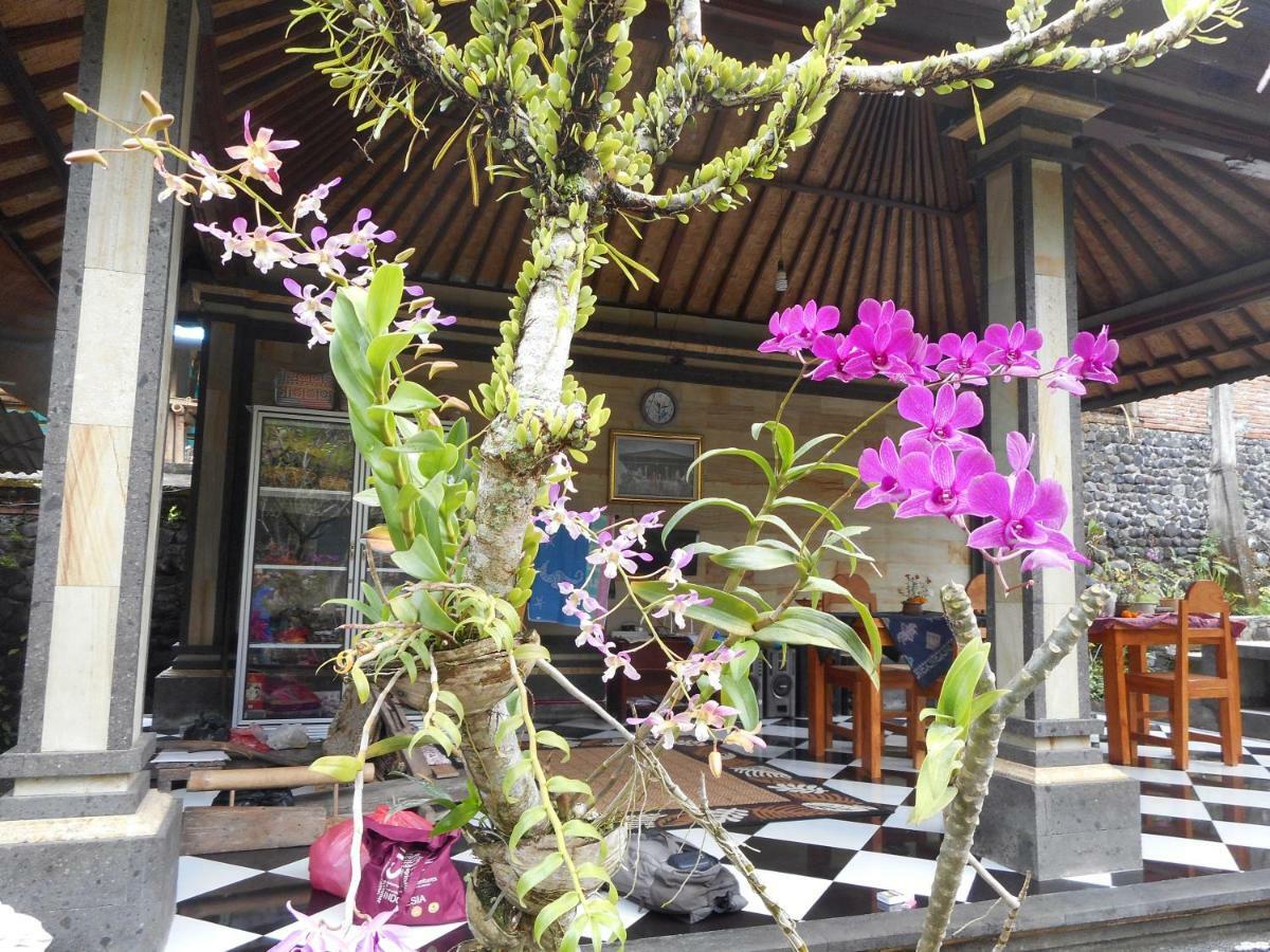Milla Homestay Sidemen  Extérieur photo
